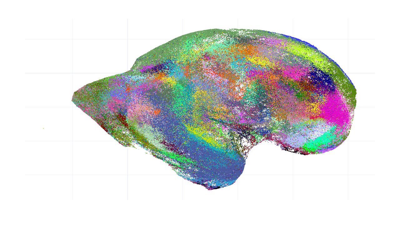 2D UMAP embedding of projection features colored by Julich Brain Atlas 3.1
