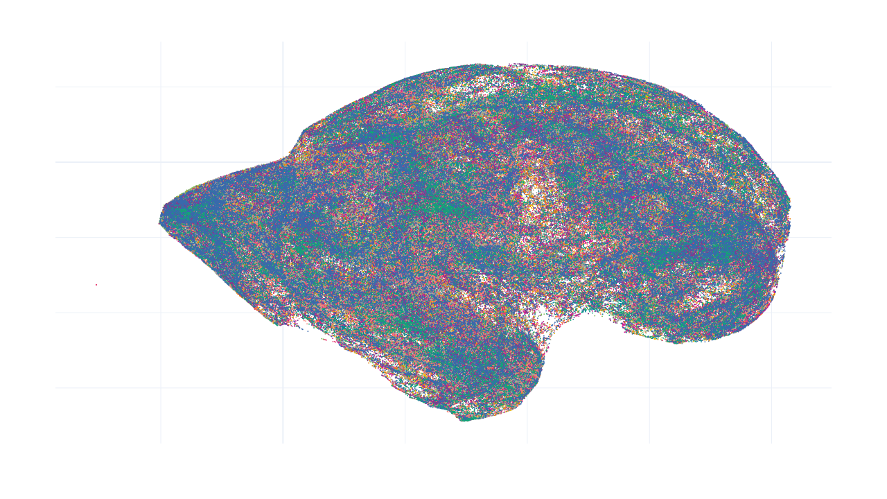2D UMAP embedding of projection features colored by brain