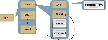 _images/HOMEstructure.png