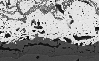 EBC1 SEM sample