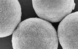 Electron microscopy sample